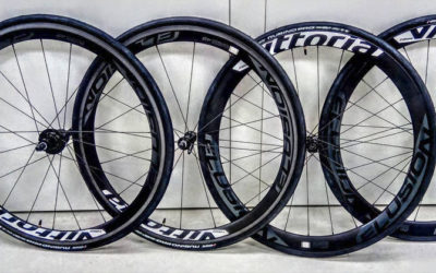 ¡NOVEDADES Y NUEVOS PRODUCTOS EN VITTORIA!