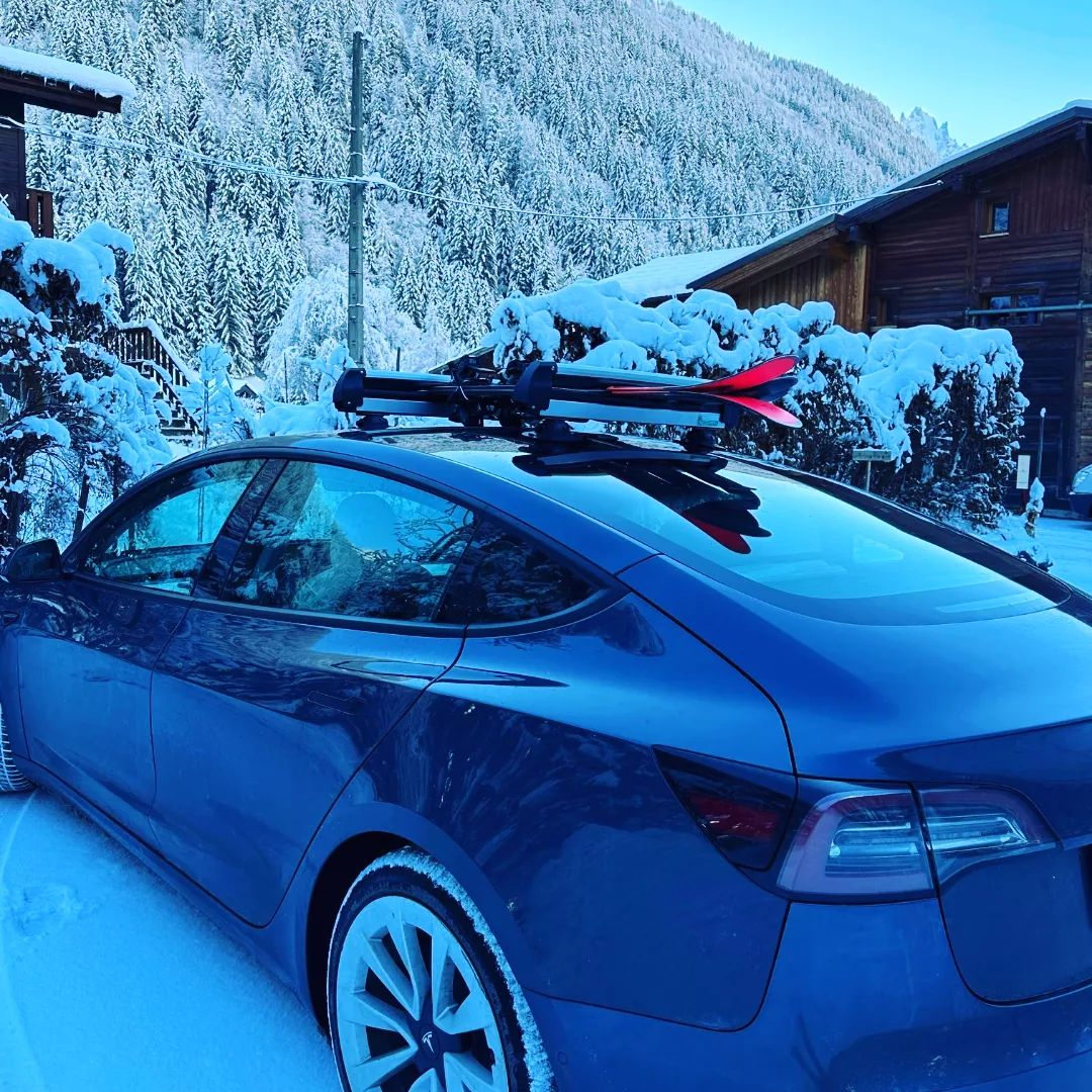 ¡La fórmula TreeFrog para llevar tu esquís y snowboards encima del coche!